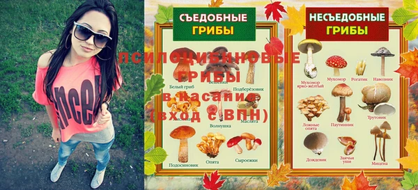 метадон Михайлов