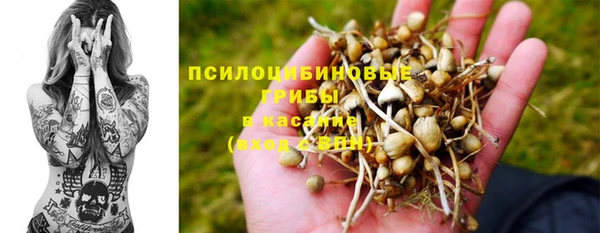 прущая мука Медногорск