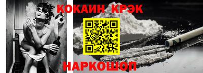 шишки Кандалакша
