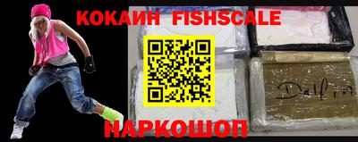 шишки Кандалакша