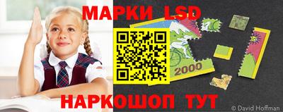 a pvp Камышлов