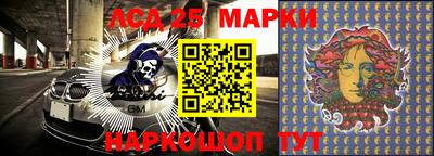 a pvp Камышлов