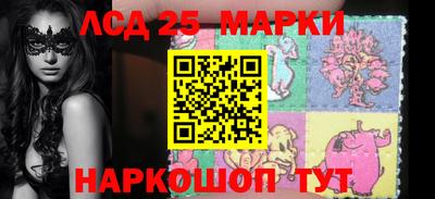 a pvp Камышлов