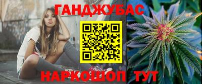 шишки Кандалакша