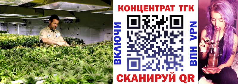 ТГК THC oil  как найти наркотики  MEGA зеркало  Георгиевск 